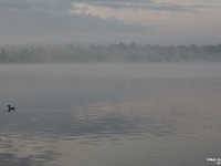 57608CrLeRe - Morning kayaking on Sturgeon Lake   Each New Day A Miracle  [  Understanding the Bible   |   Poetry   |   Story  ]- by Pete Rhebergen